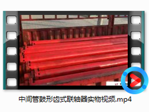 中间管鼓形齿式联轴器实物视频