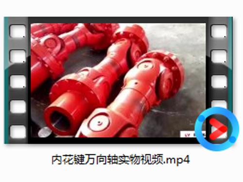 内花键万向轴实物视频
