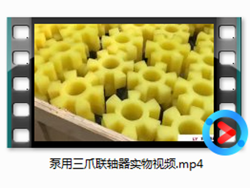 泵用三爪联轴器实物视频
