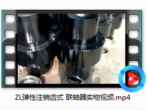 ZL弹性注销齿式联轴器实物视频