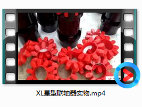 XL星型联轴器实物