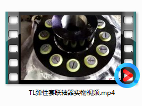 TL弹性套联轴器实物视频