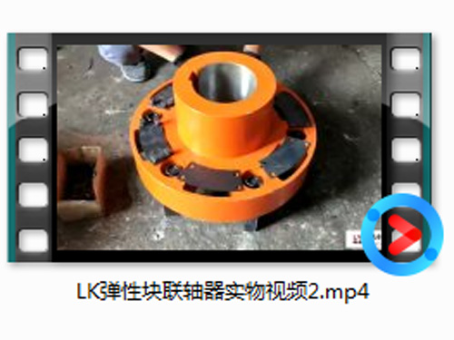 LK弹性块联轴器实物视频2