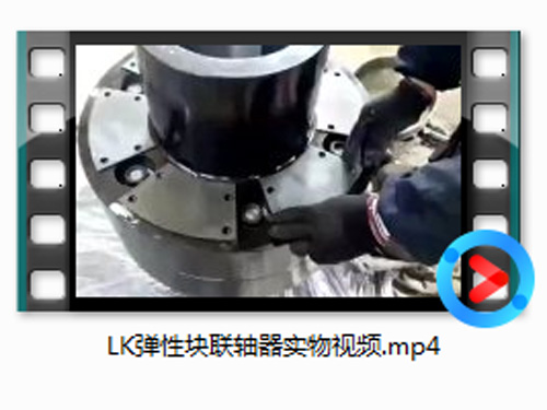 LK弹性块联轴器实物视频