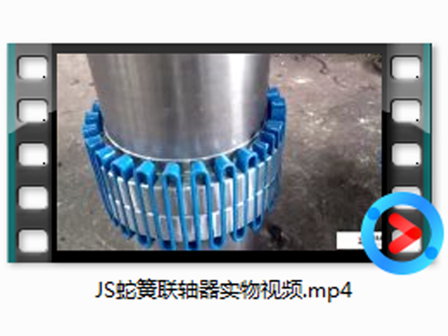 JS蛇簧联轴器实物视频
