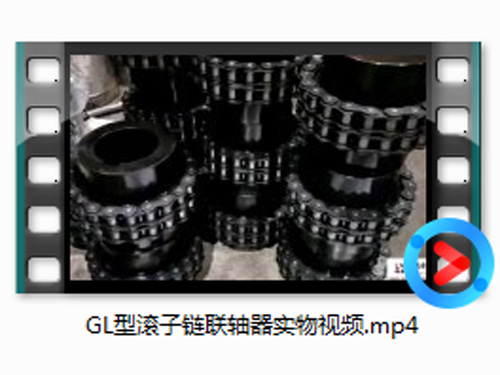 GL型滚子链联轴器实物视频