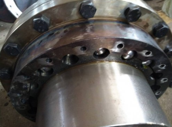 <b>蛇形弹簧联轴器的结构</b>